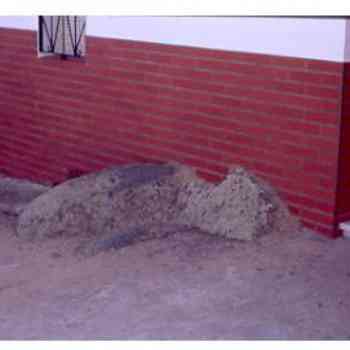 Click para ampliar. Pulsa en el nombre para ver la ficha. El Patrás 7